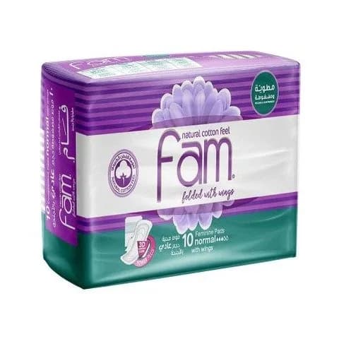 Fam Folded with Wings Normal, 10 Pads